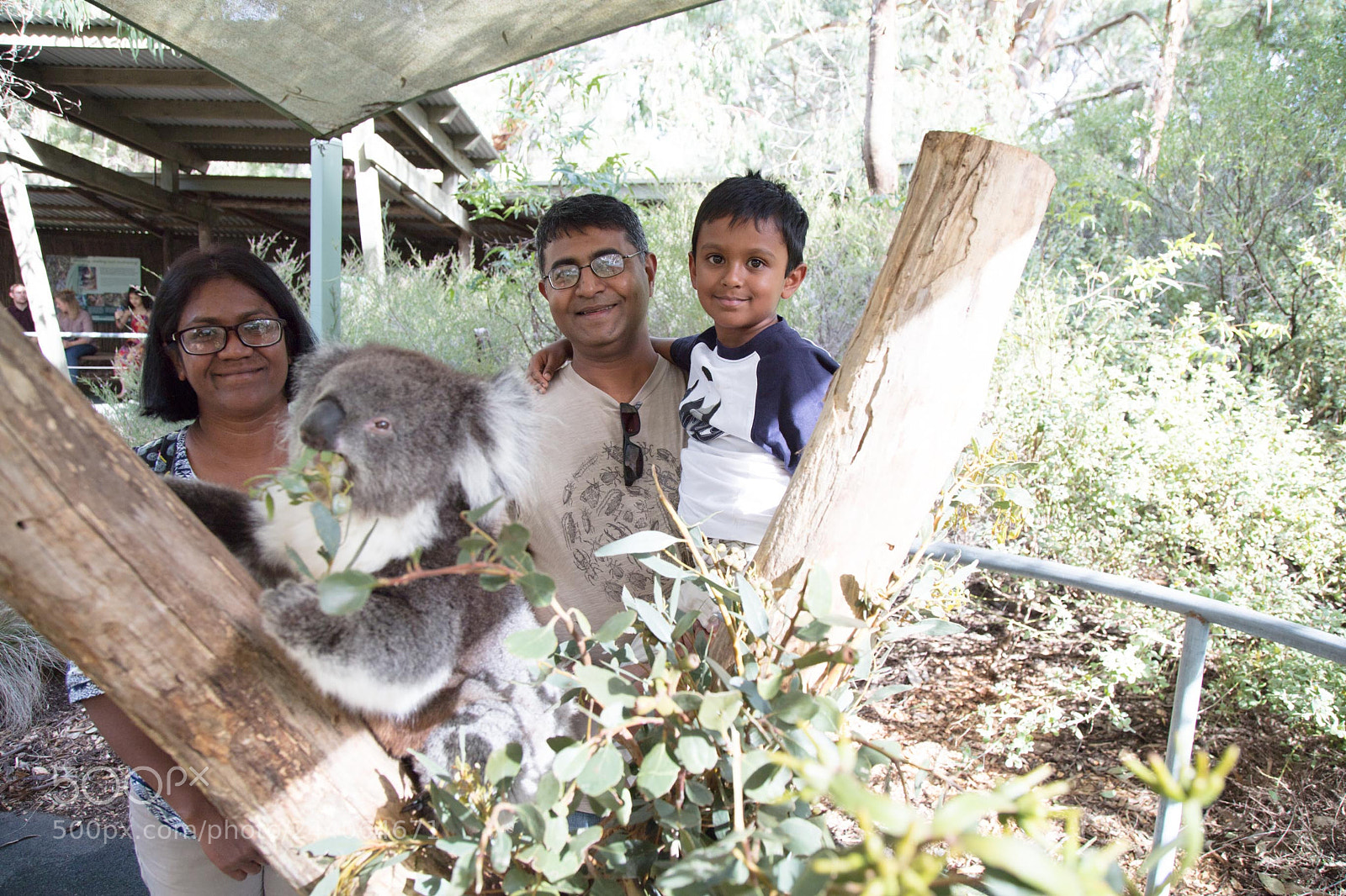 Canon EOS 5DS sample photo. Adelaide zoo photography