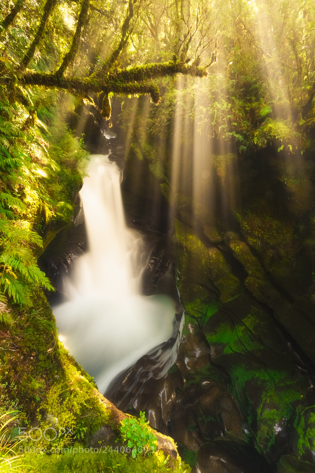 Sony a7R II sample photo. Majestic waterfall photography