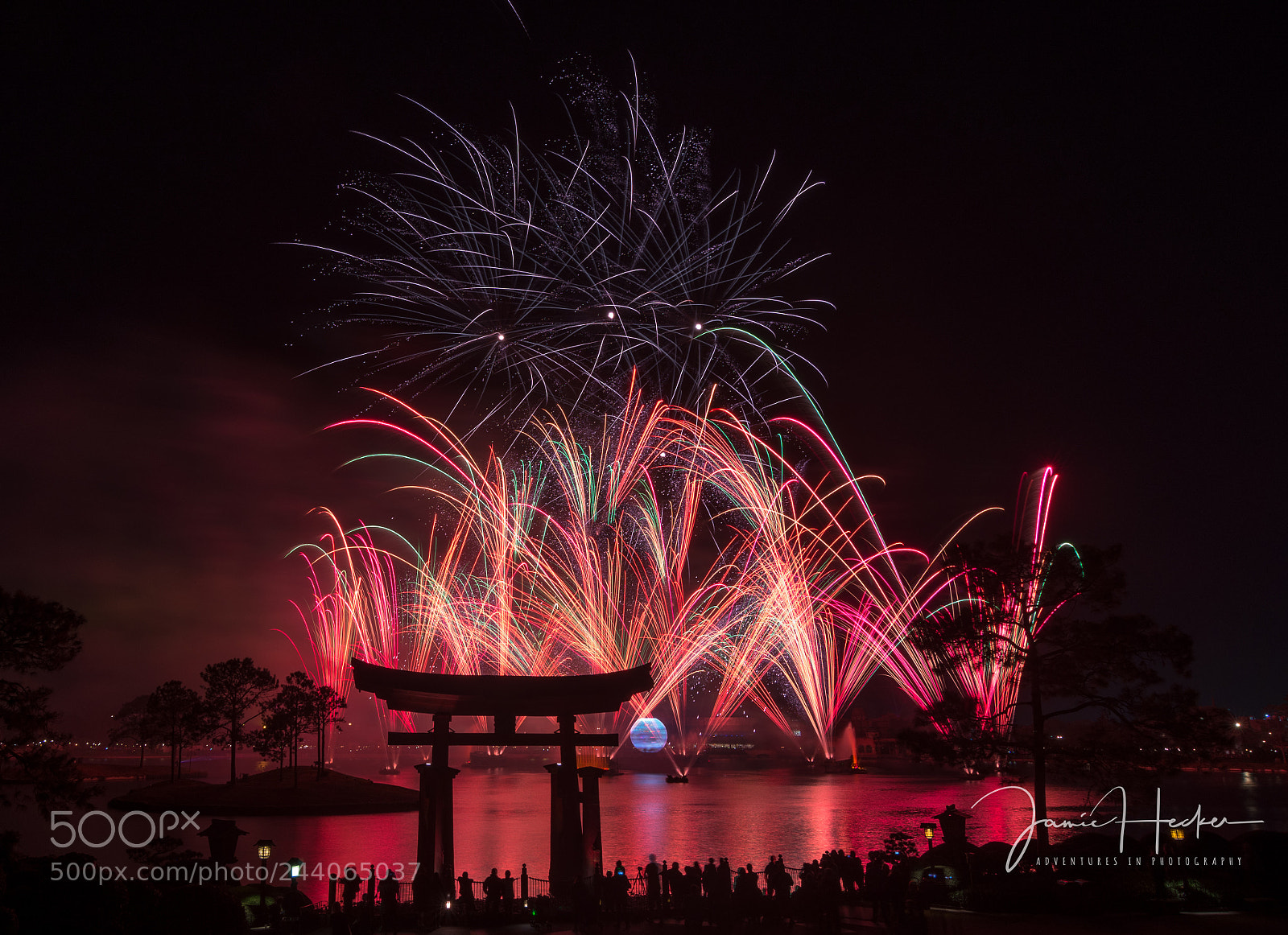 Nikon D7200 sample photo. Illuminations photography