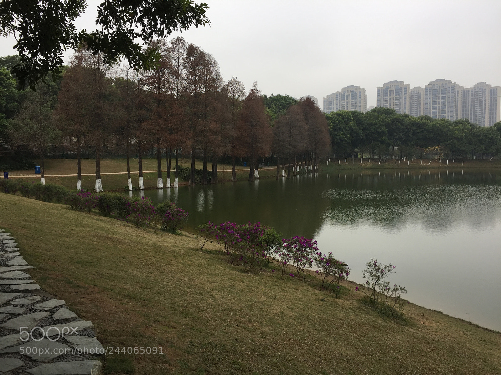 Apple iPhone 6 sample photo. Modern with natural photography