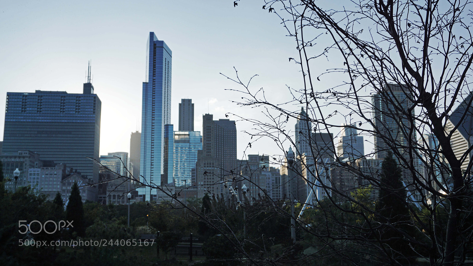 Sony a5100 sample photo. Park view photography