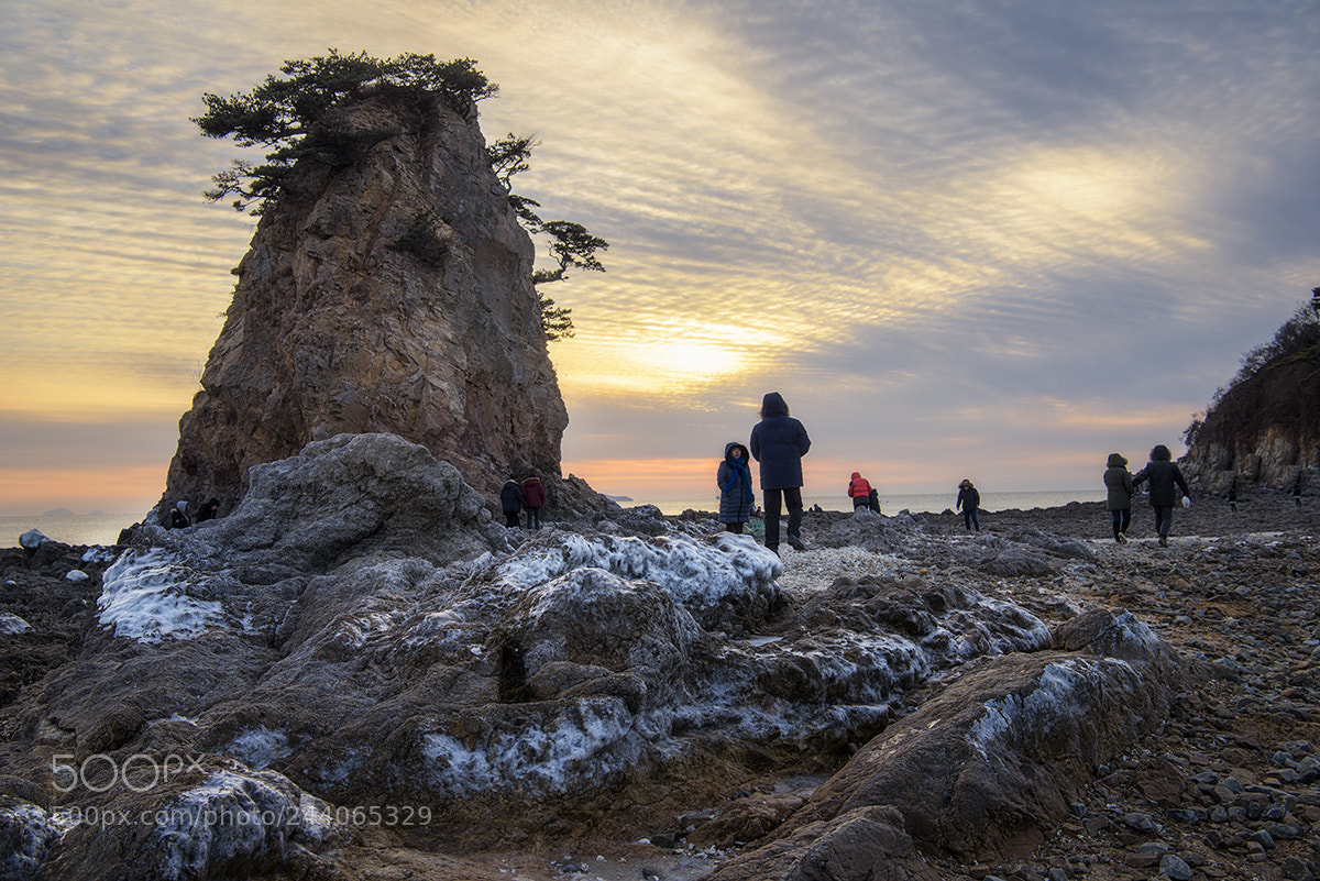 Nikon D810 sample photo. Winter outing photography