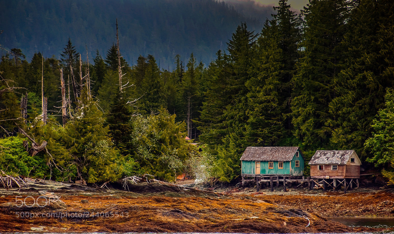 Nikon D200 sample photo. Ketchikan alaska usa photography