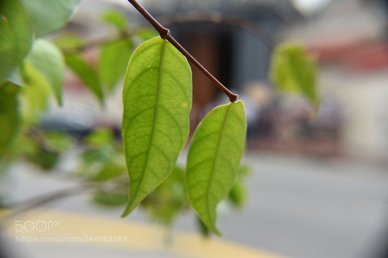 Nikon D3400 sample photo. Beautiful photograph photography