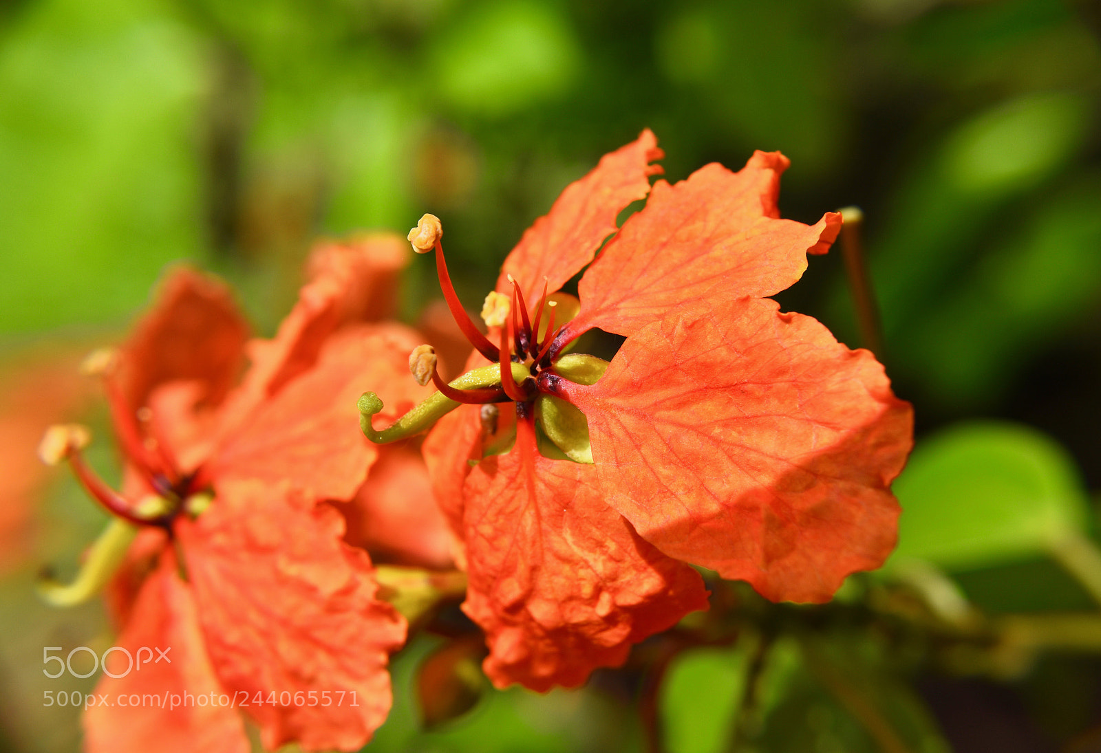 Nikon D3400 sample photo. Beautiful photograph photography
