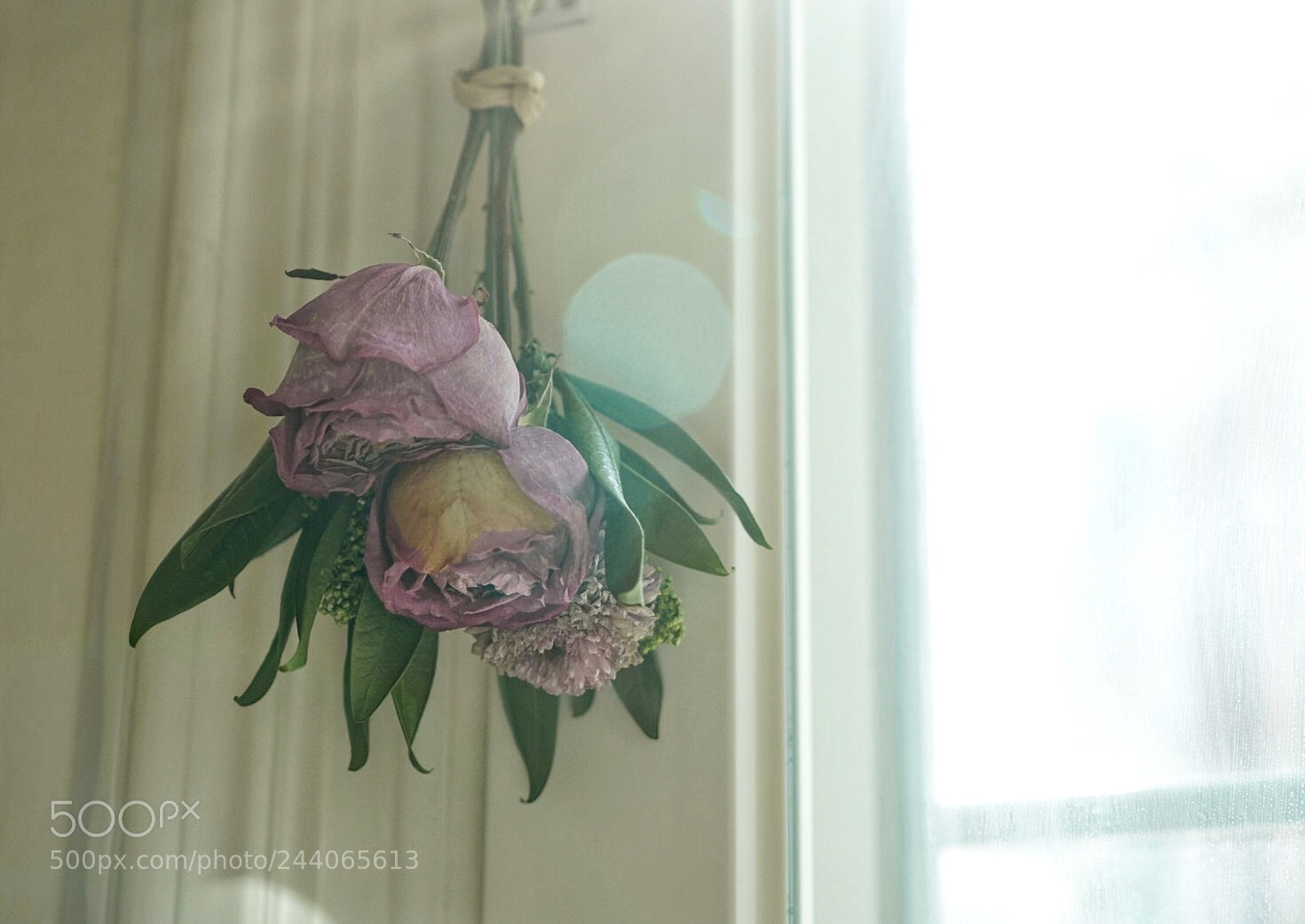 Sony a7R II sample photo. Untitled photography