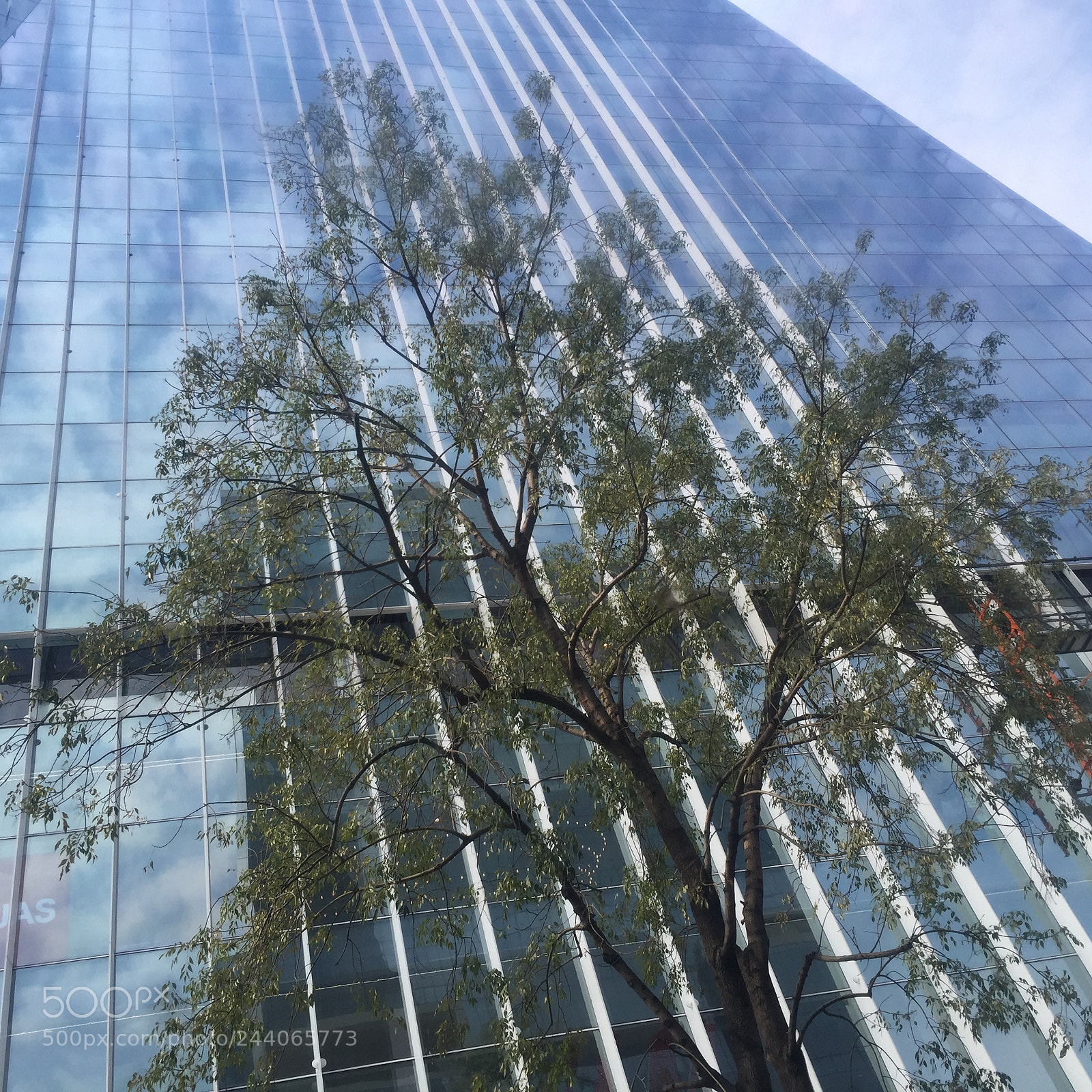 Apple iPhone 6 sample photo. Edificio manacor teodoro gonzalez photography