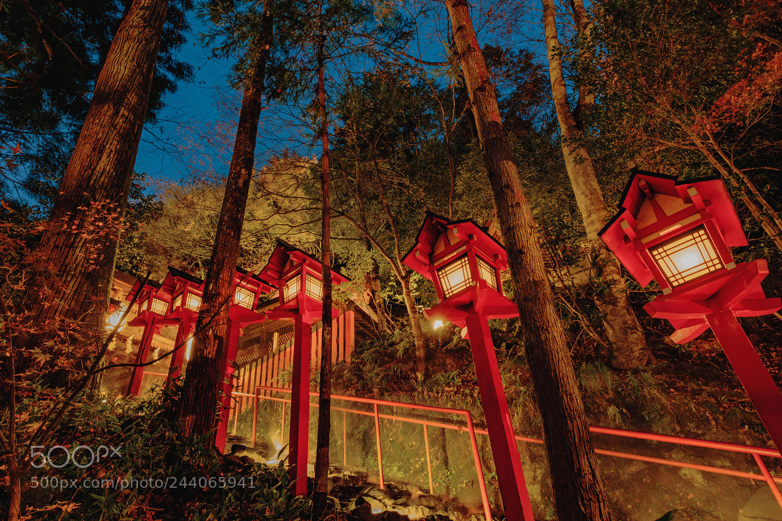 Fujifilm X-T2 sample photo. Untitled photography