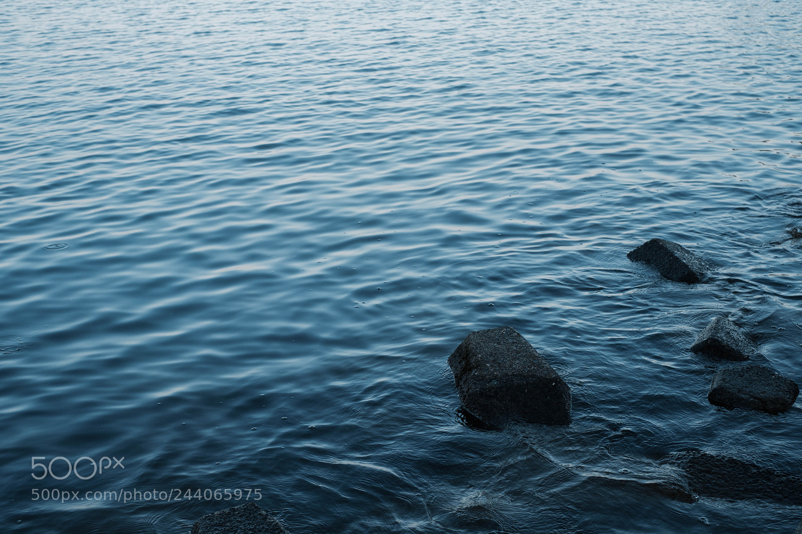Fujifilm X-T2 sample photo. Untitled photography