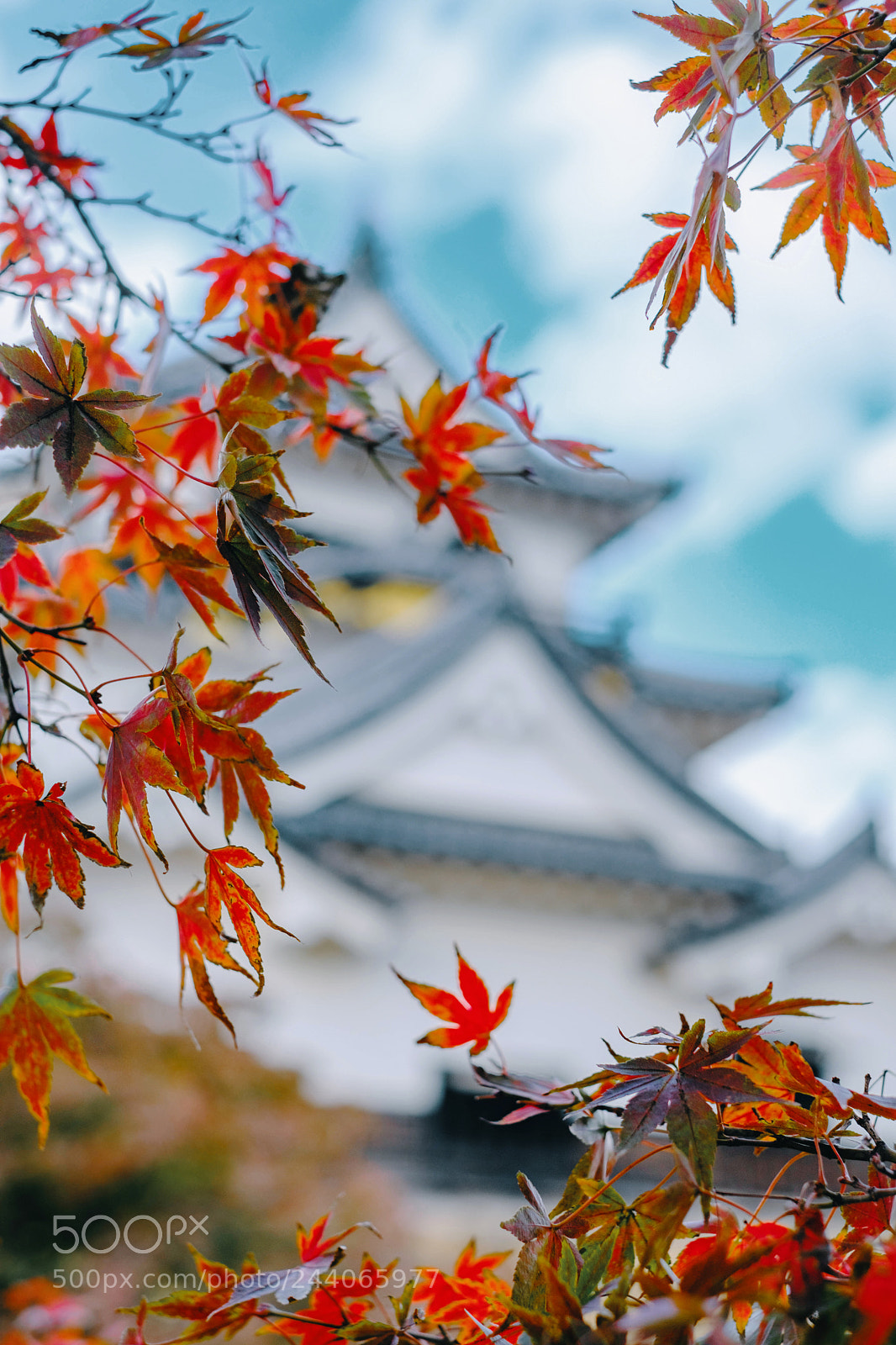Fujifilm X-T2 sample photo. Untitled photography