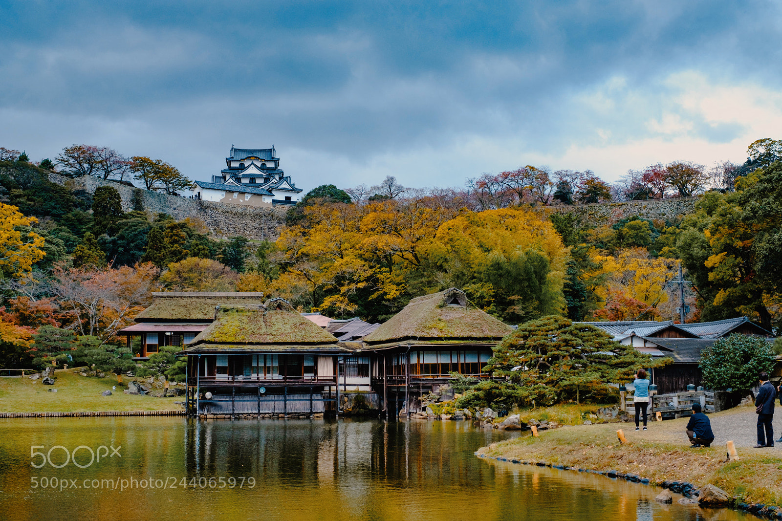 Fujifilm X-T2 sample photo. Untitled photography