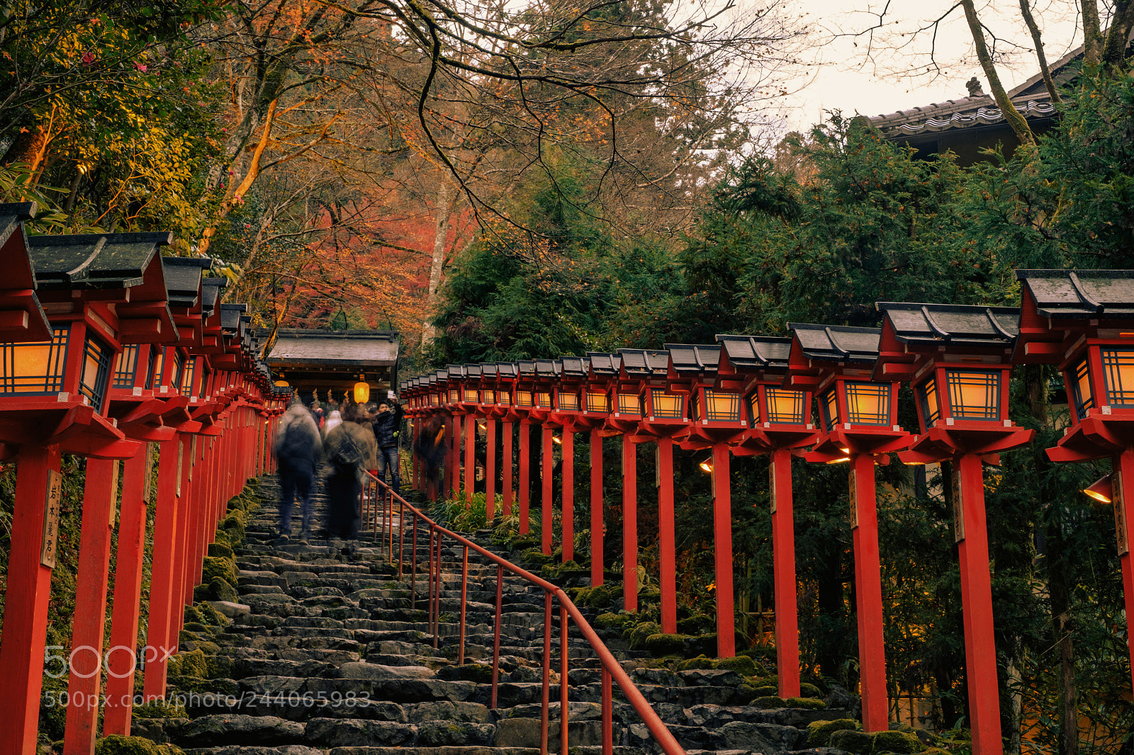 Fujifilm X-T2 sample photo. Untitled photography