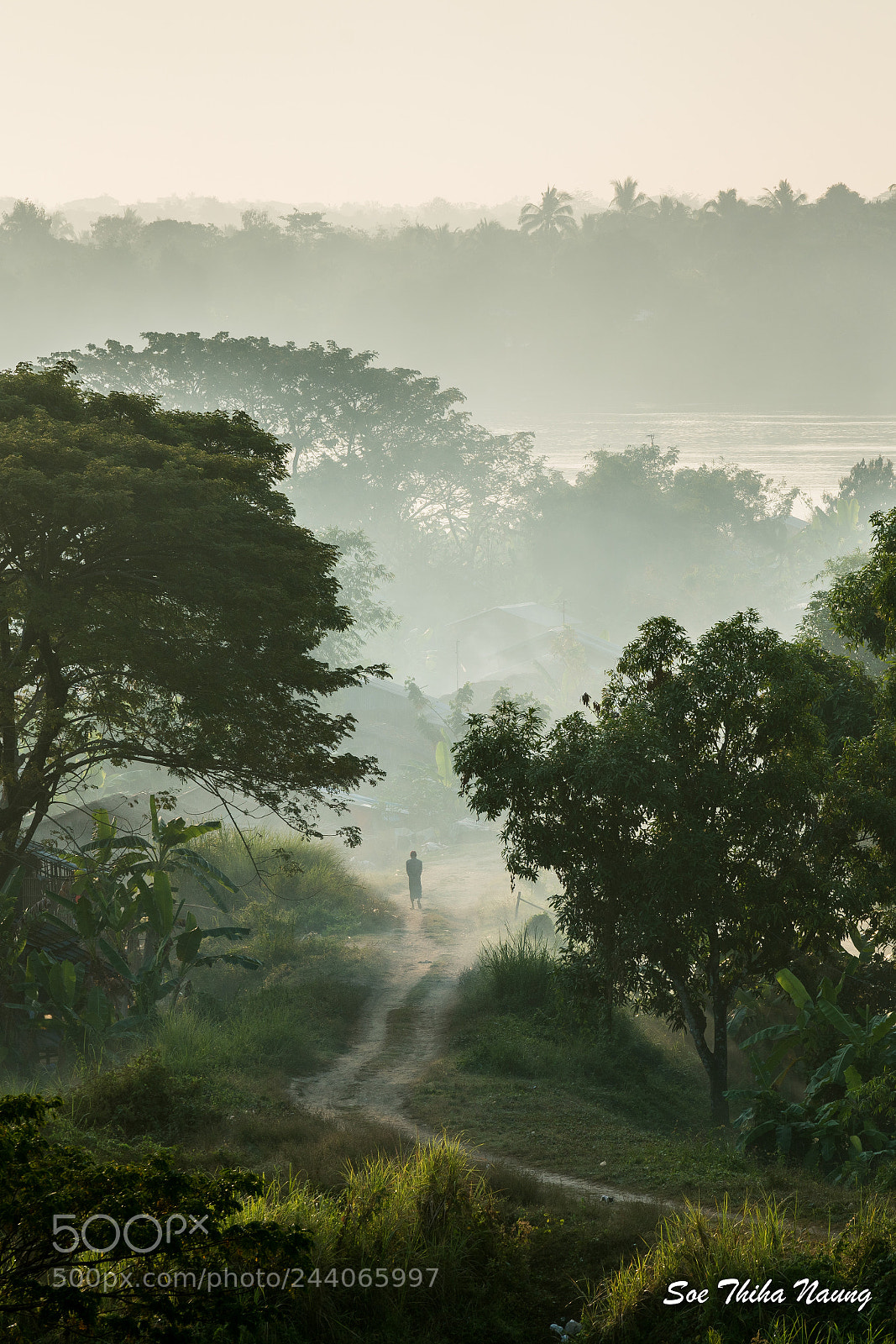 Sony a7R II sample photo. Walking in the misty photography