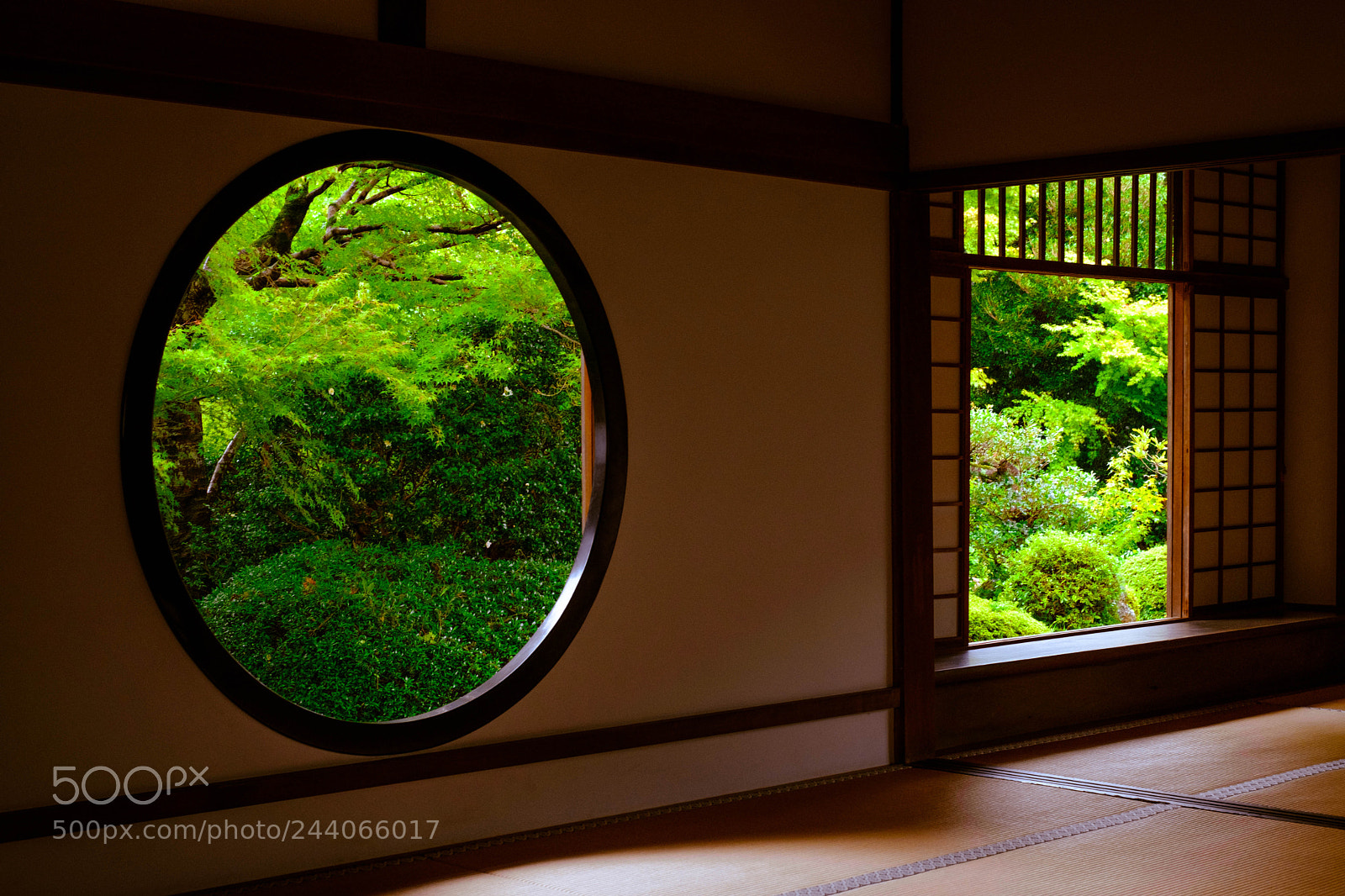 Fujifilm X-T2 sample photo. Untitled photography