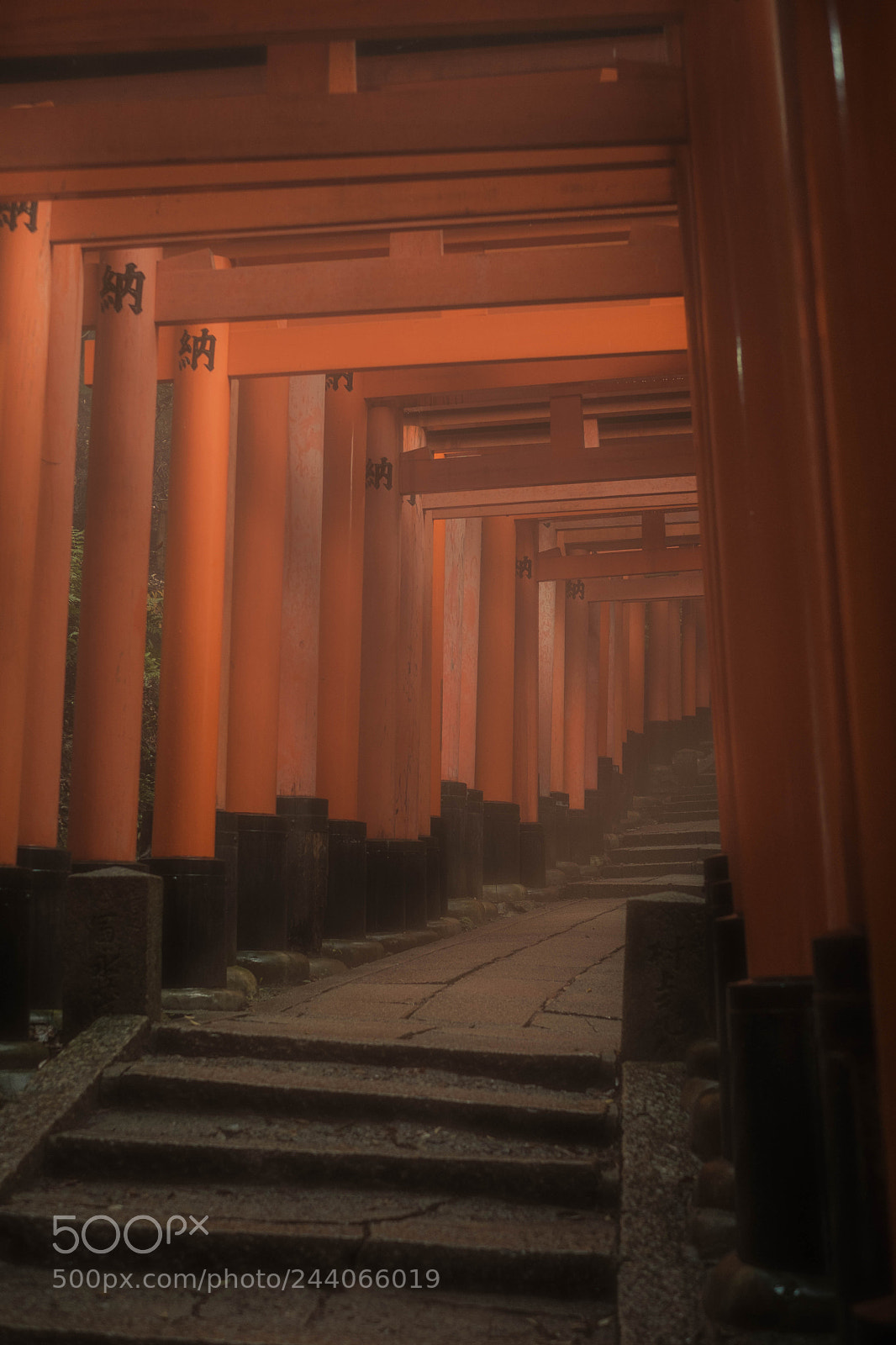 Fujifilm X-T2 sample photo. Untitled photography
