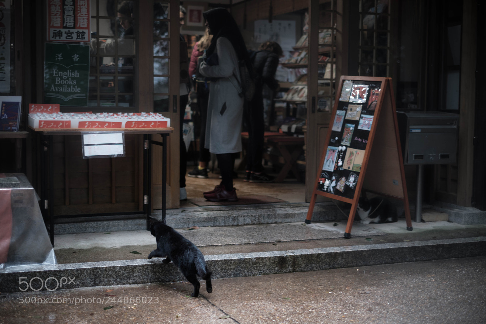 Fujifilm X-T2 sample photo. Untitled photography