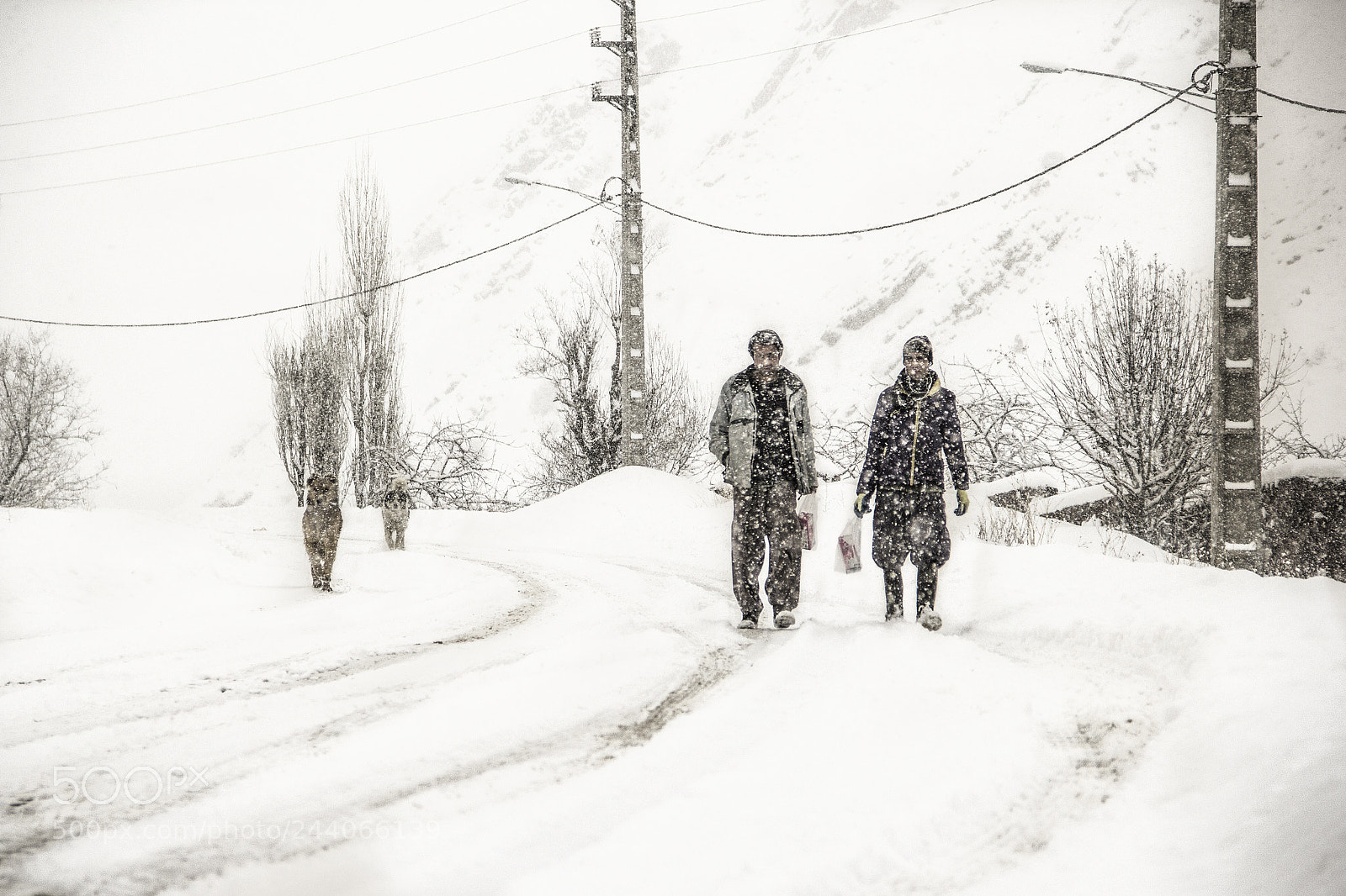 Canon EOS 60D sample photo. Snow photography