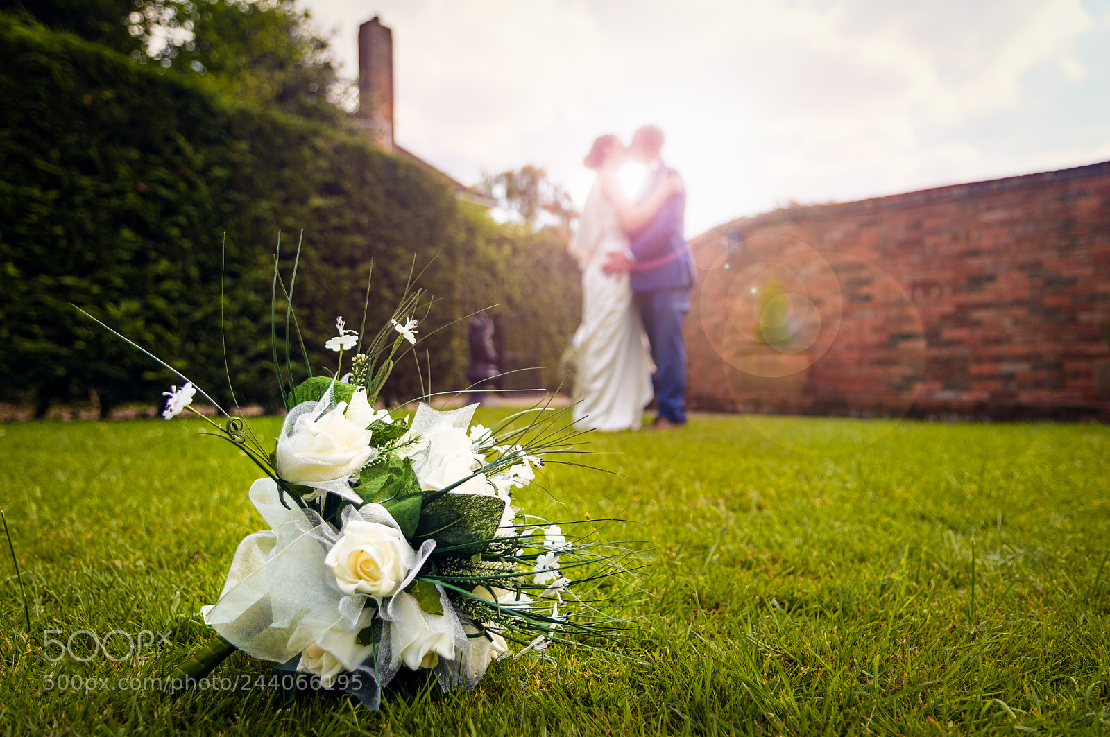 Nikon D7100 sample photo. Love; blossomed photography