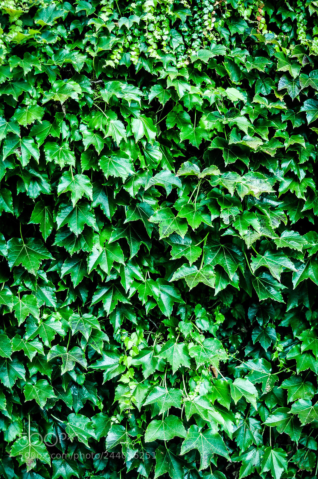 Nikon D90 sample photo. Untitled photography