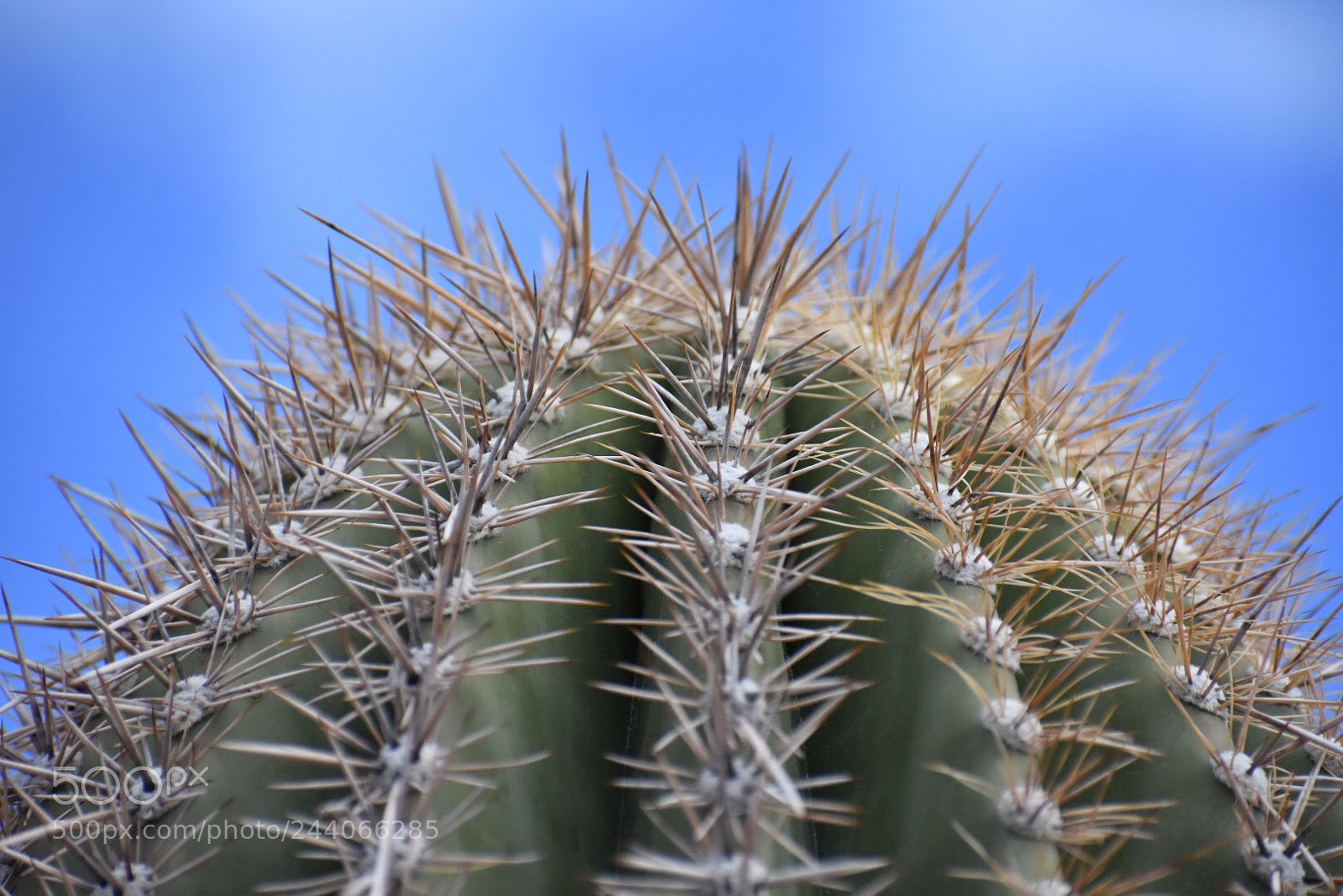 Nikon D7200 sample photo. Img photography