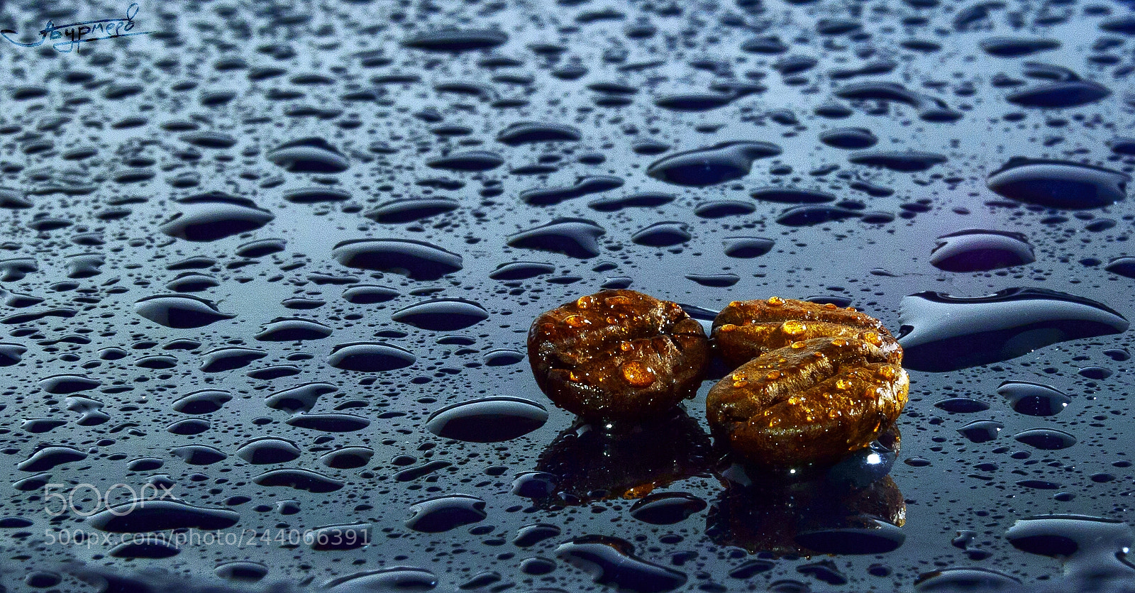 Nikon D3200 sample photo. Coffee beans photography
