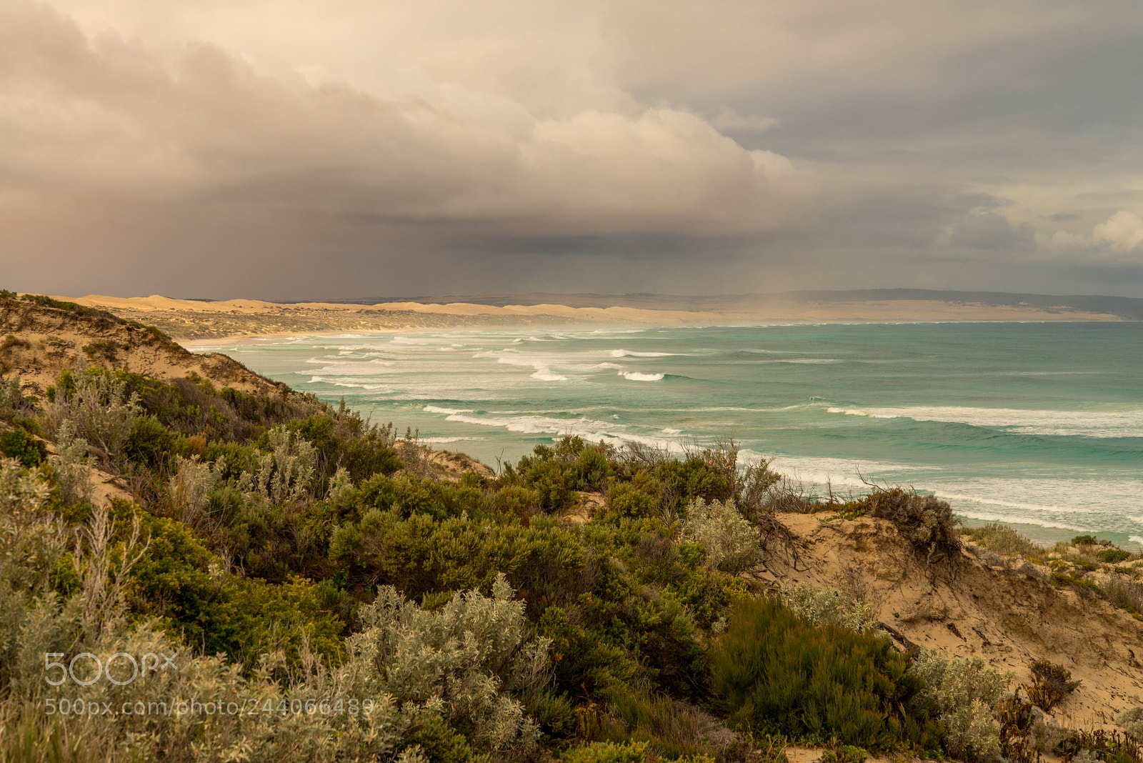 Nikon D800 sample photo. Coffin bay national park photography