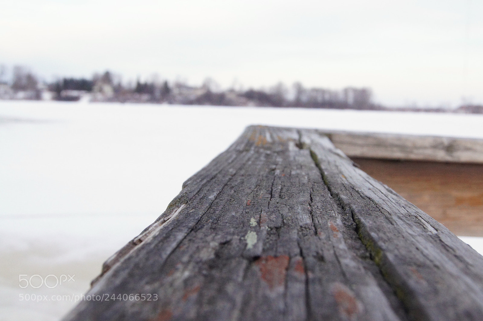 Sony SLT-A33 sample photo. Macro dock photography