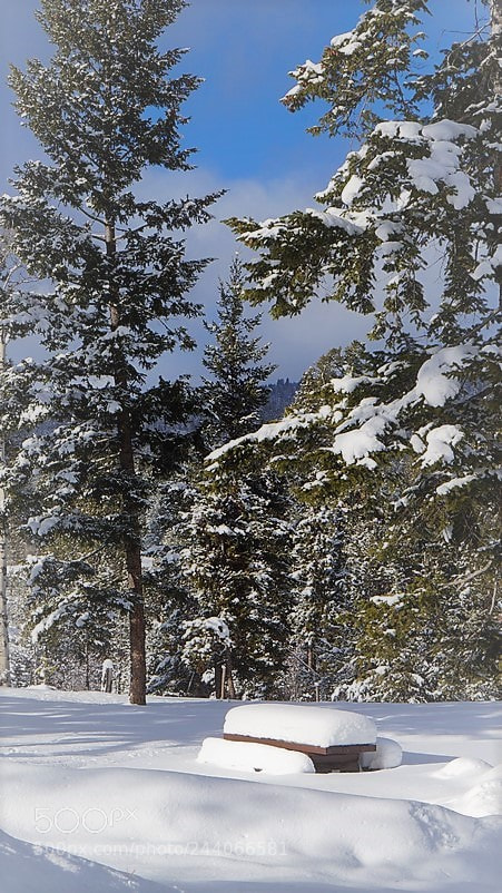 Sony Alpha NEX-3N sample photo. Snow photography