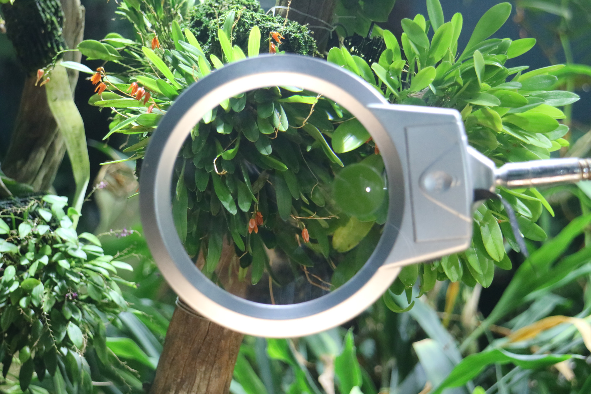 Canon EOS M3 sample photo. Through the looking glass photography