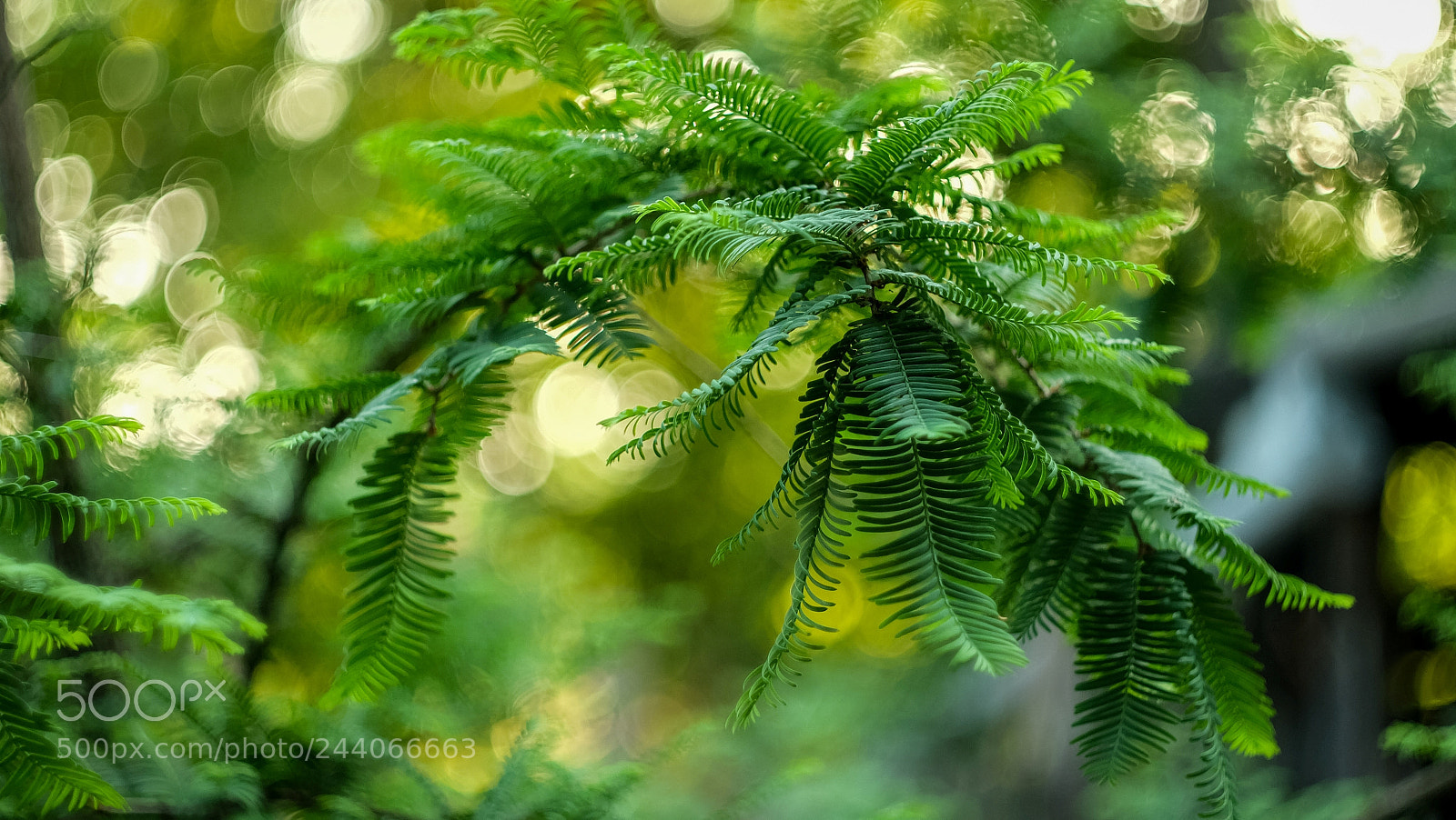 Fujifilm X-A1 sample photo. Untitled photography