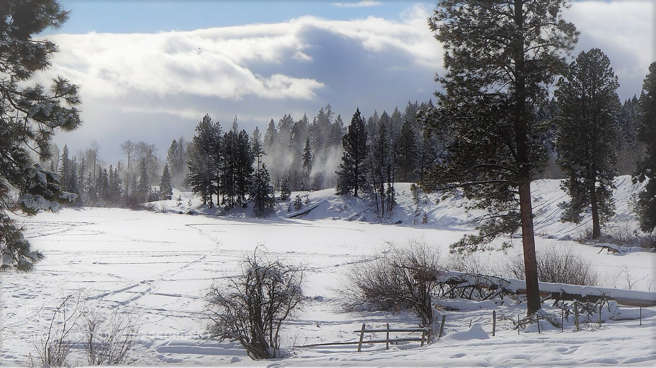 Sony Alpha NEX-3N sample photo. Winter photography