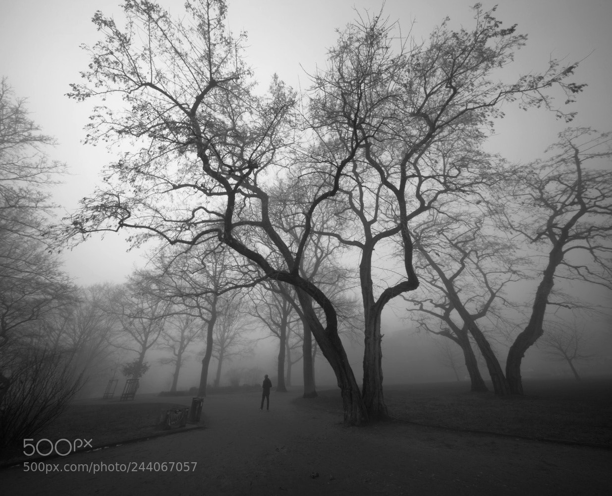 Sony a7R sample photo. Sunday fog photography