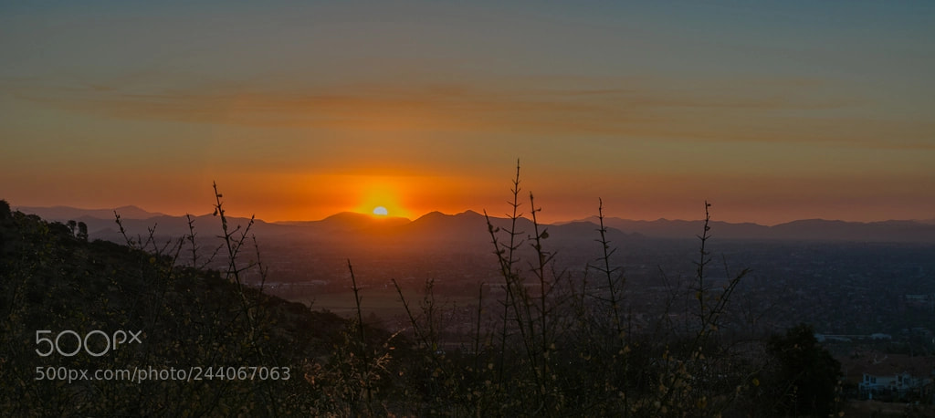 Nikon D7100 sample photo. Relinquo mane diluculo photography