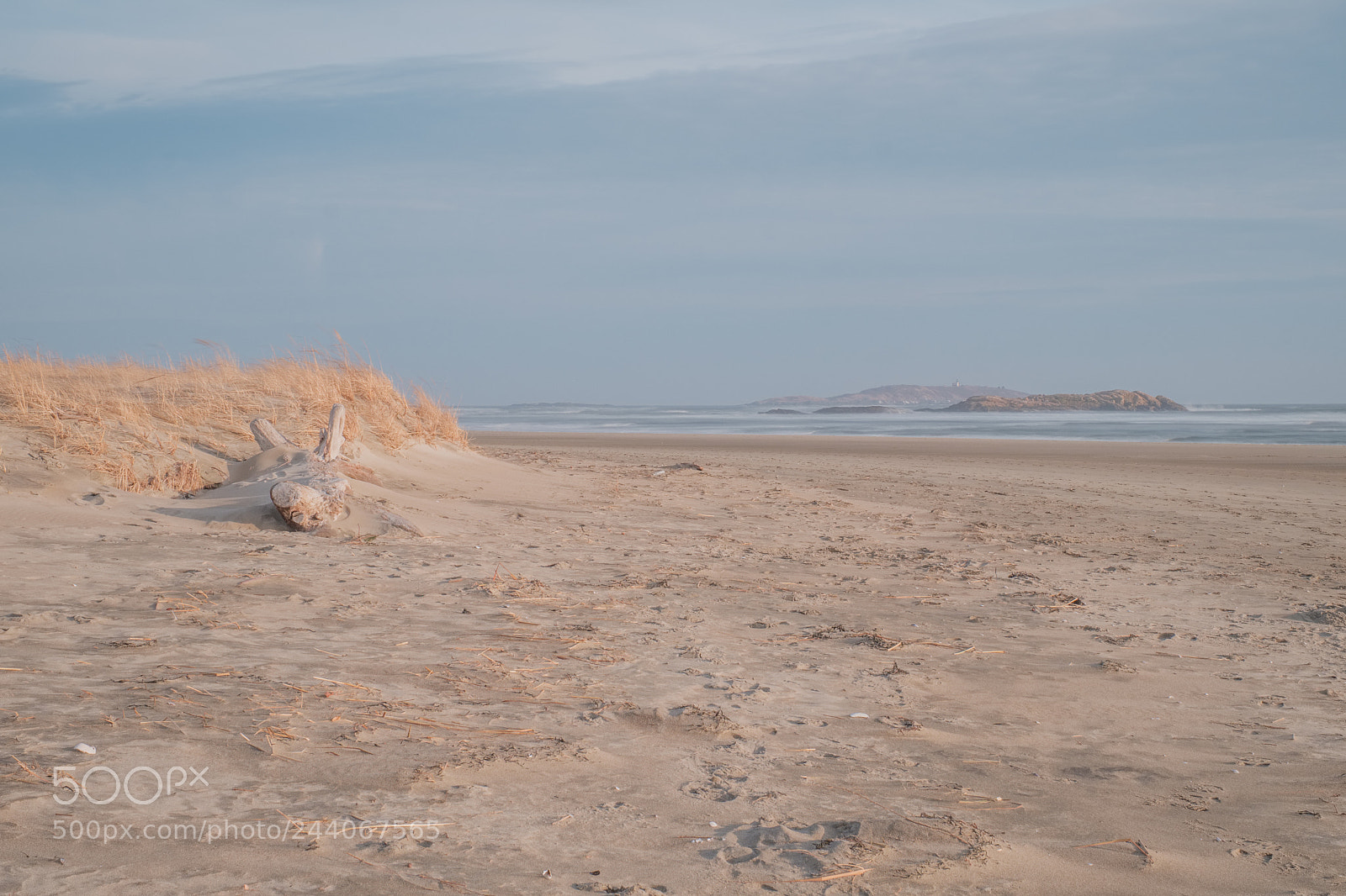 Fujifilm X-Pro2 sample photo. Popham beach photography