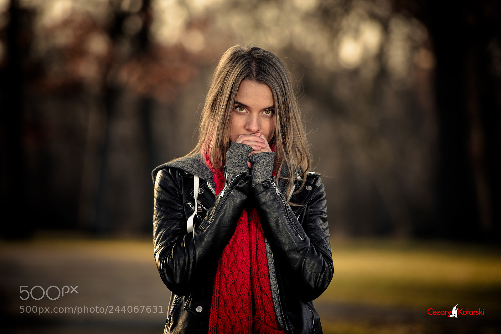 Nikon D810 sample photo. Untitled photography
