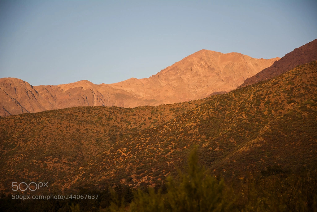 Nikon D7100 sample photo. Mi patio trasero photography