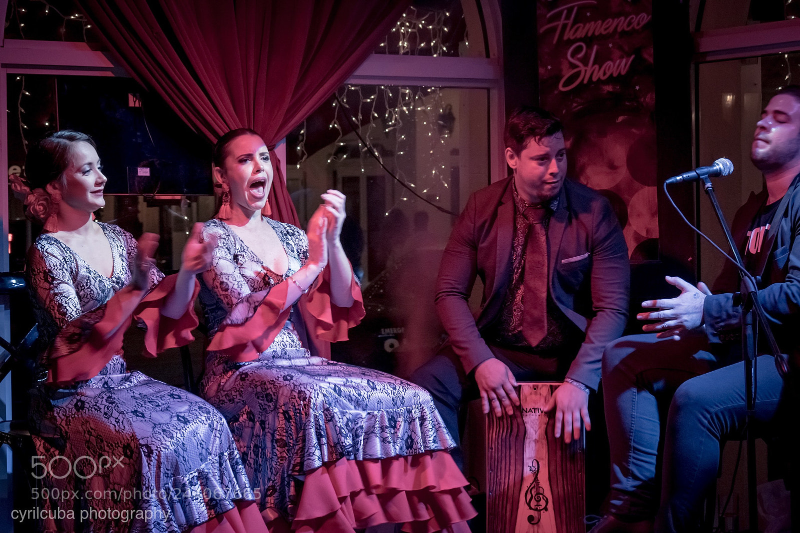 Nikon D5500 sample photo. Flamenco show photography