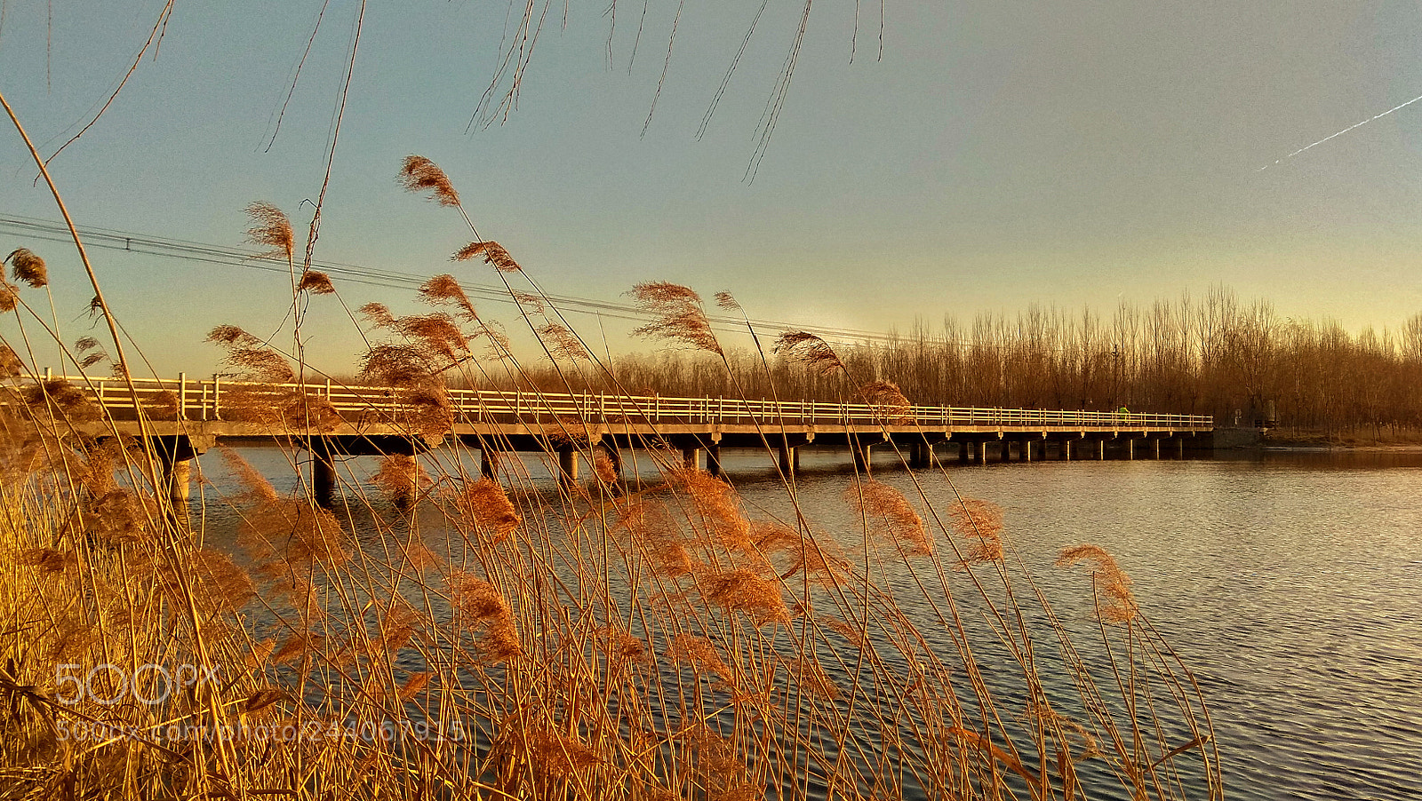 Xiaomi Redmi Note 4X sample photo. 潮白深秋 photography