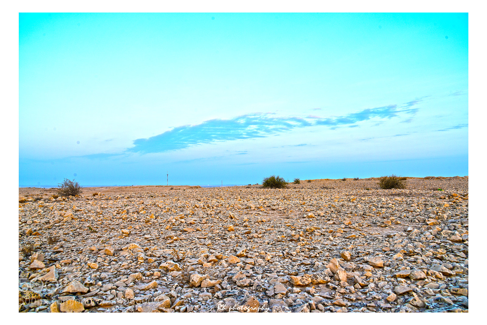 Nikon D810 sample photo. Untitled photography
