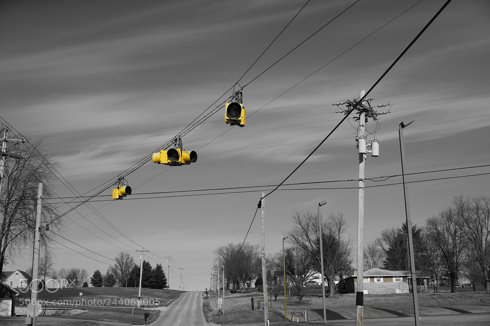 Sony a6000 + Sony E 18-50mm F4-5.6 sample photo. Yellow photography