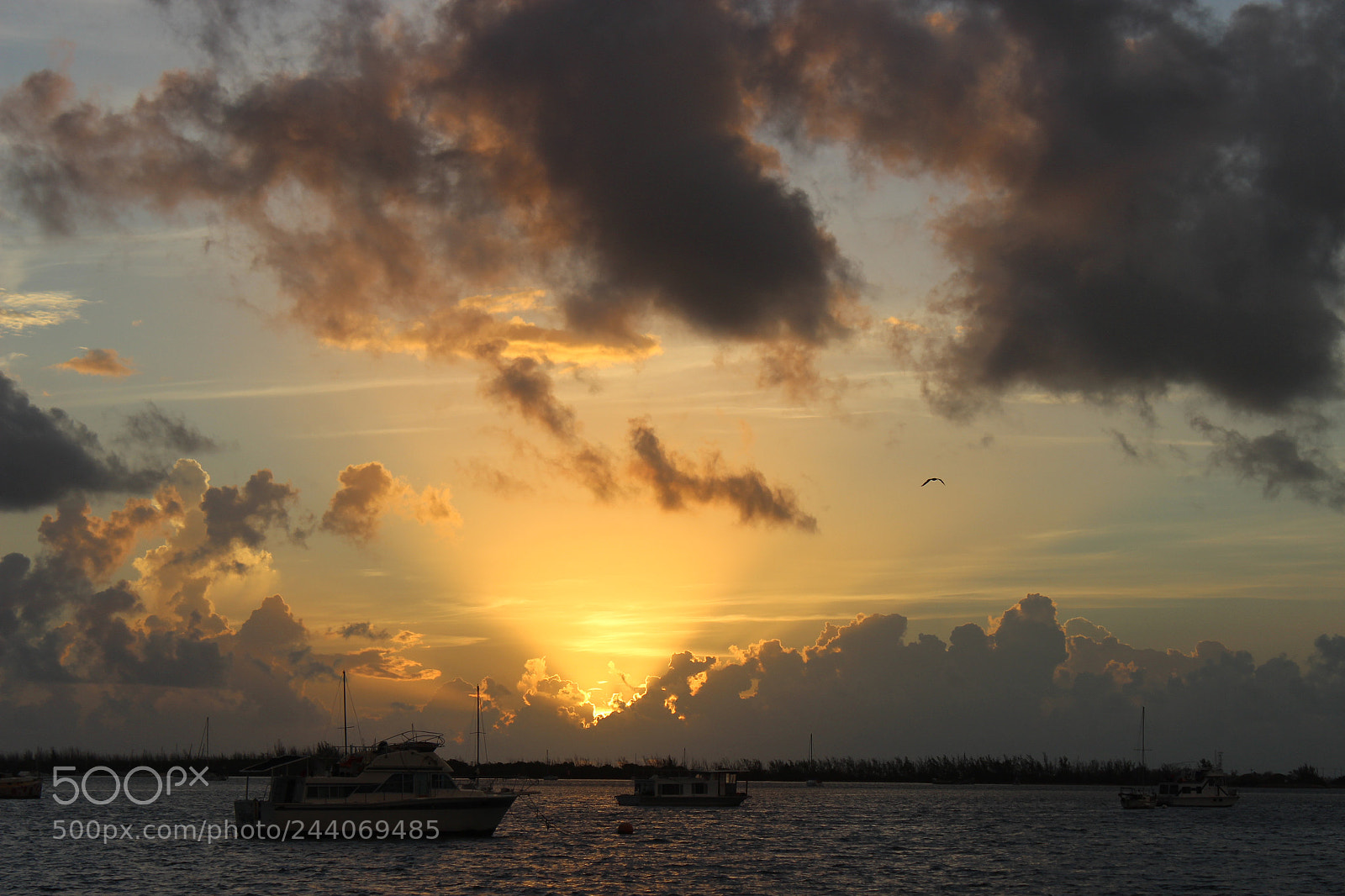 Canon EOS 600D (Rebel EOS T3i / EOS Kiss X5) sample photo. Sun rise in key photography