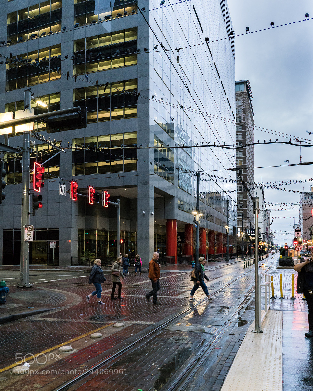 Sony a7R II sample photo. Crosswalk birds photography