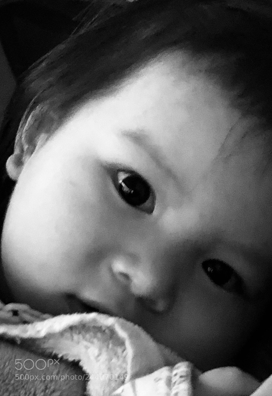 Apple iPhone 8 Plus sample photo. Untitled photography