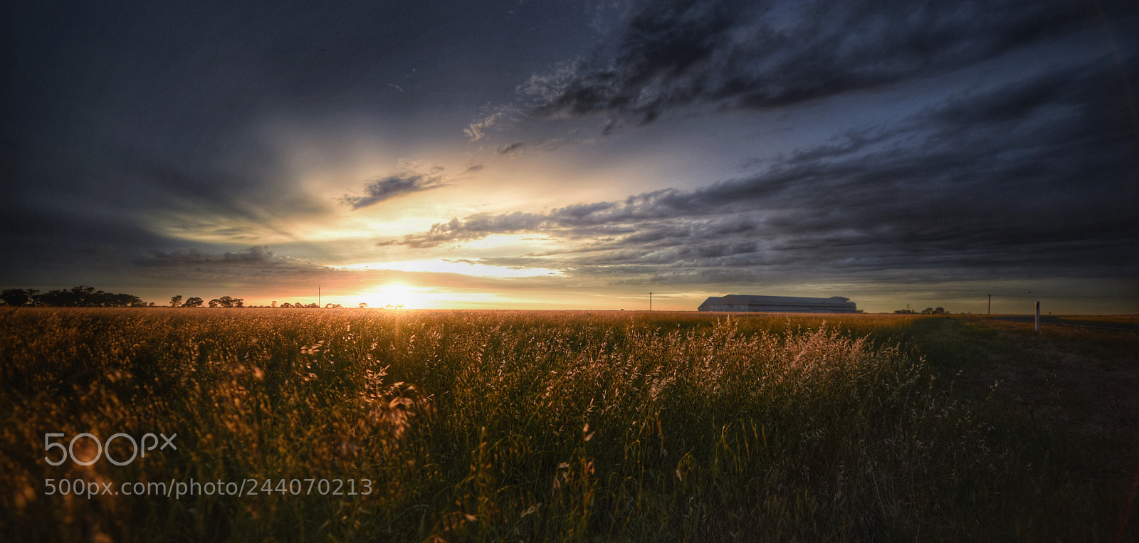 Nikon D810 sample photo. Hay plain field sunrise photography