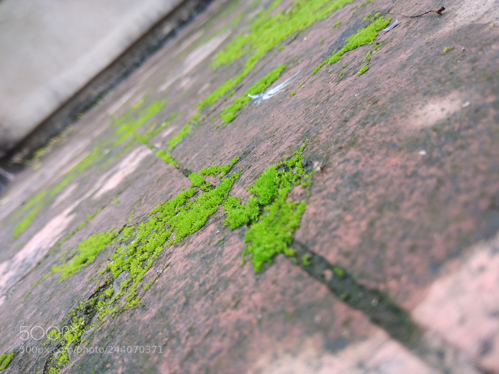 Xiaomi Redmi Note 4 sample photo. Untitled photography