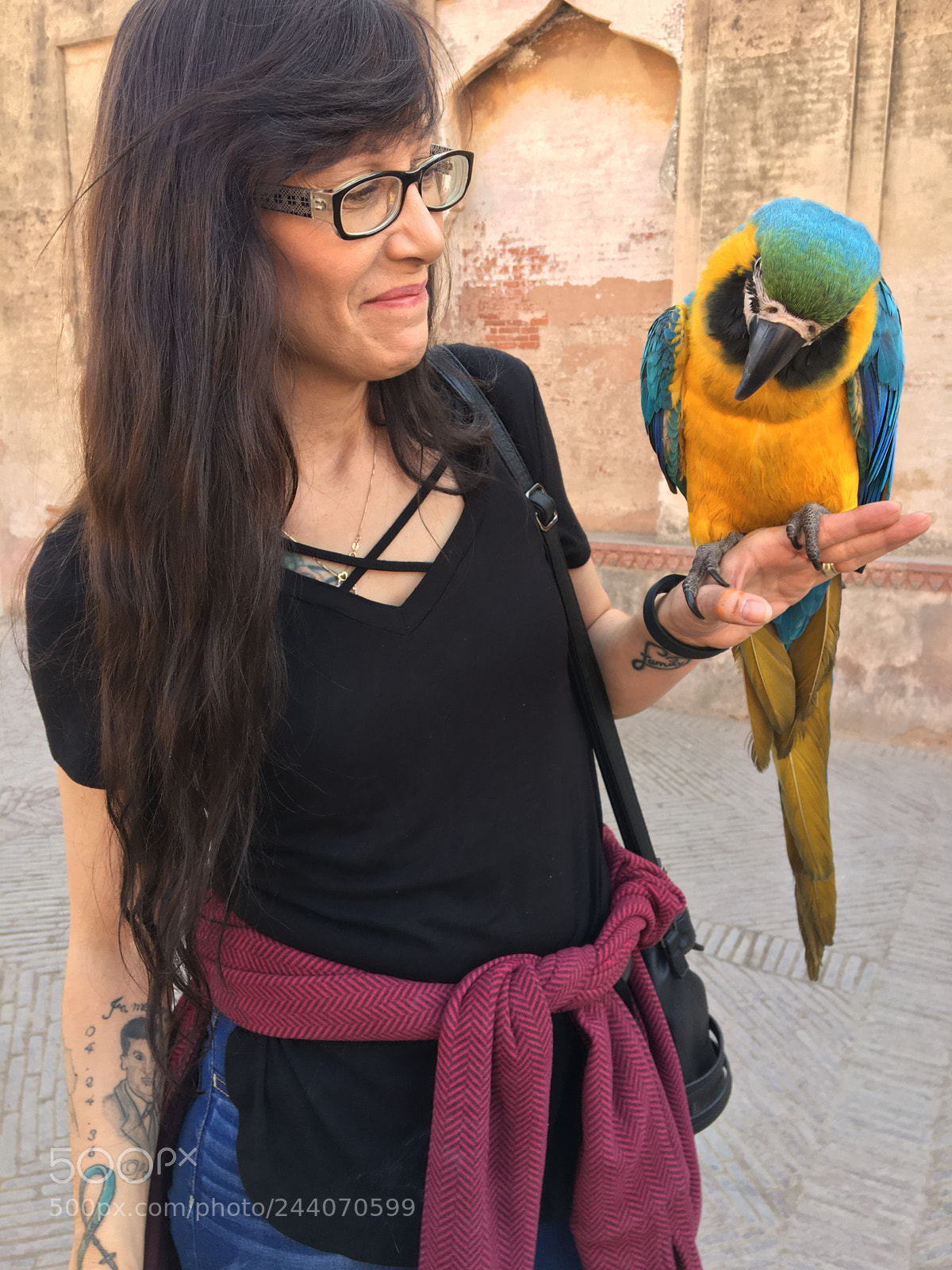 Apple iPhone 6s sample photo. Parrot photography