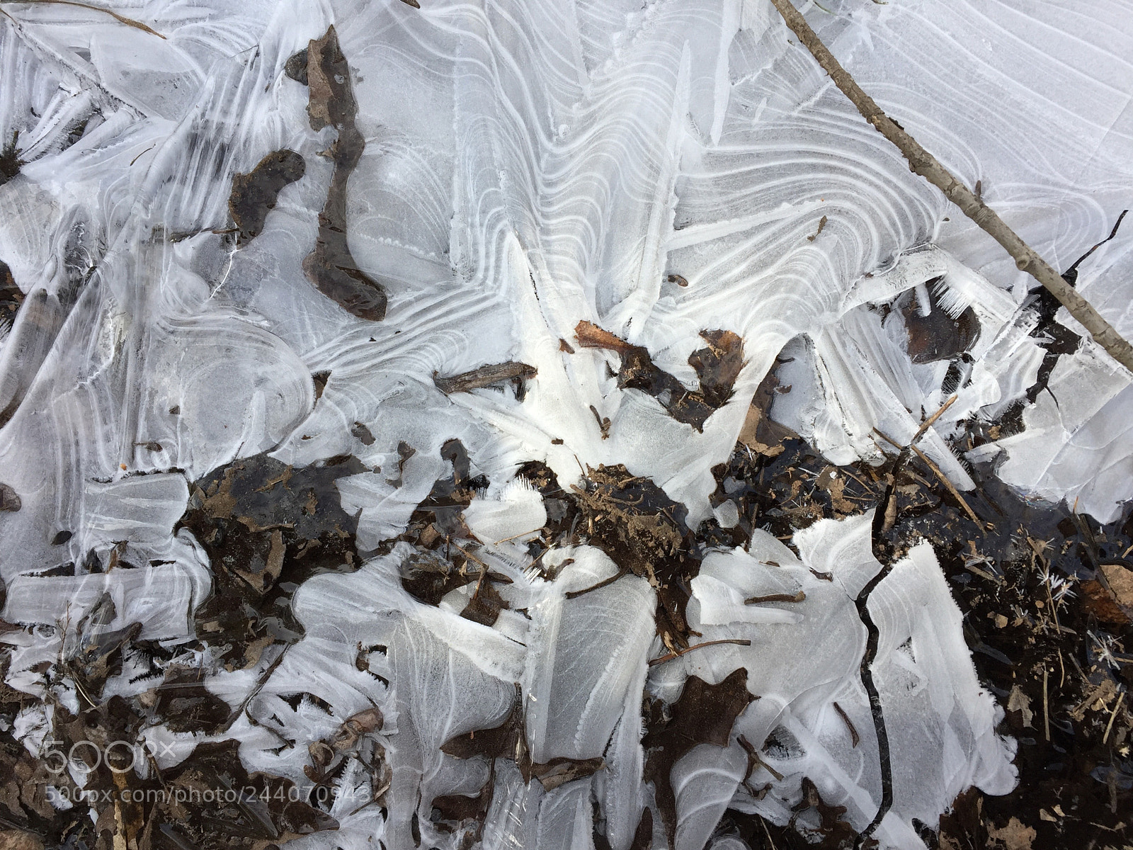 Apple iPhone 6 sample photo. Frozen photography