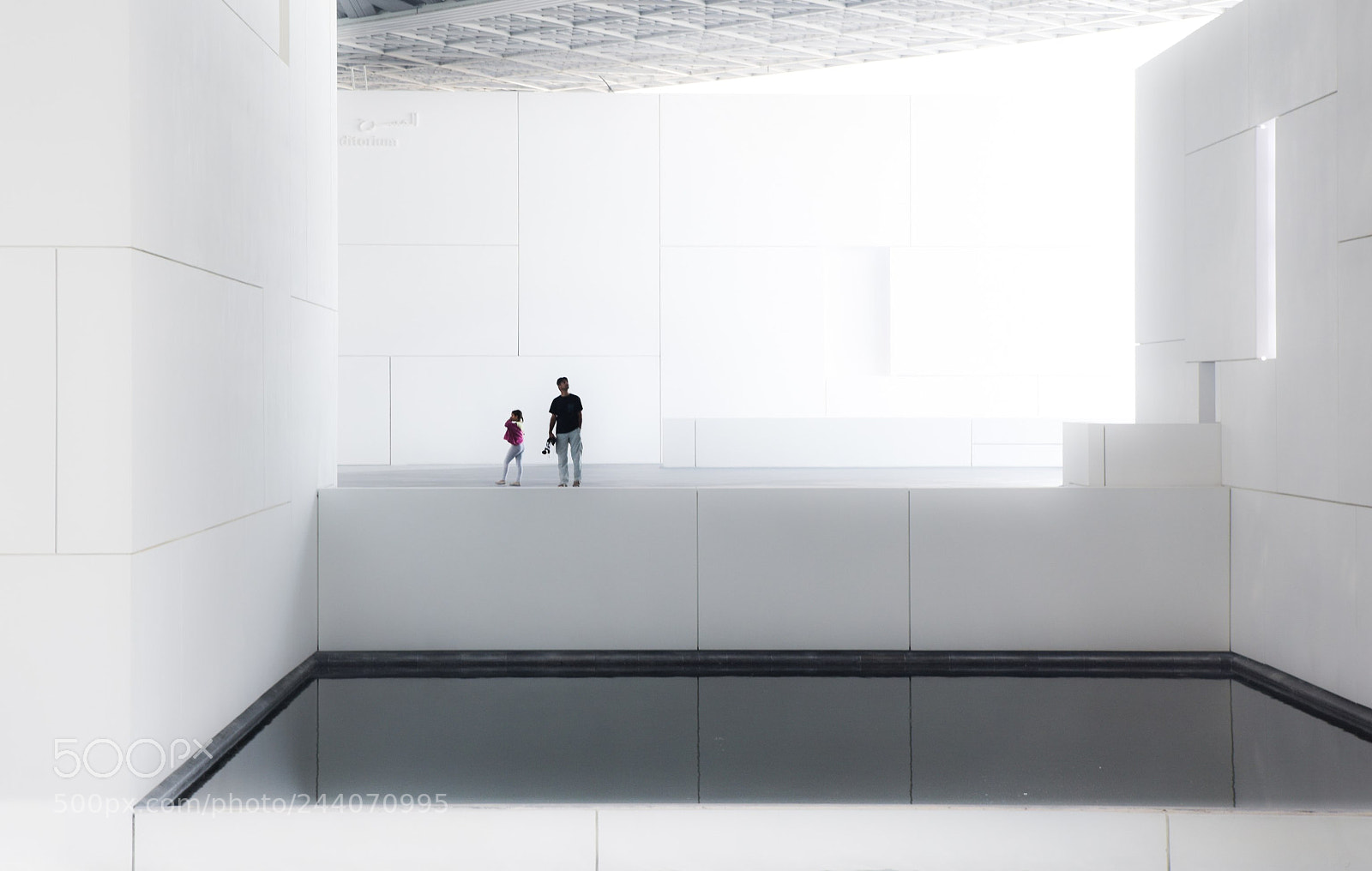 Nikon D810 sample photo. Louvre abu dhabi iii photography