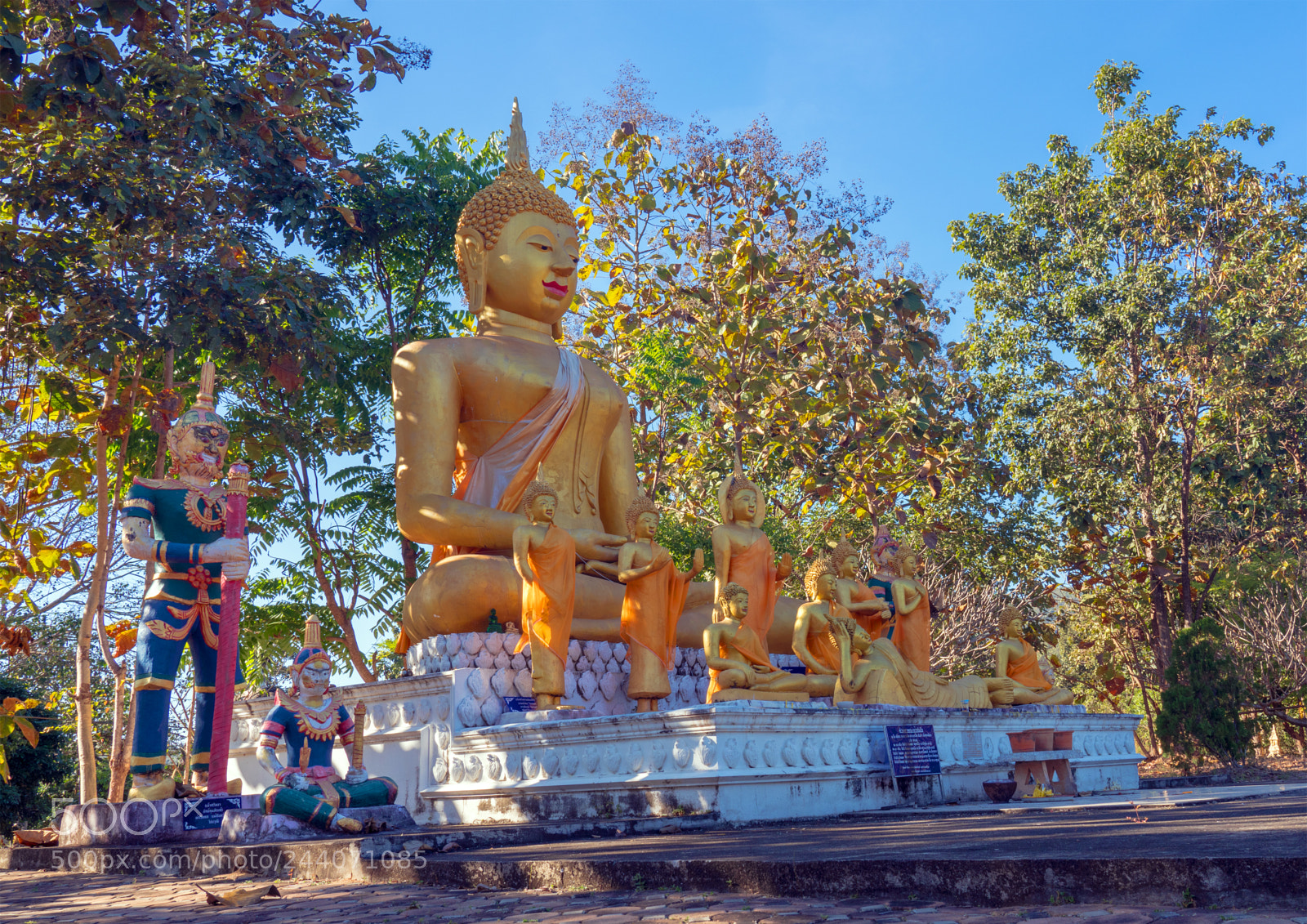 Sony a7R III sample photo. Bouddha sous protection des photography