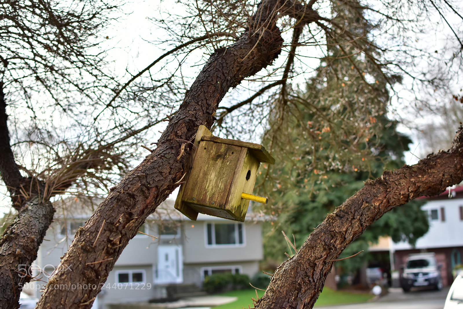 Nikon D5500 sample photo. Untitled photography